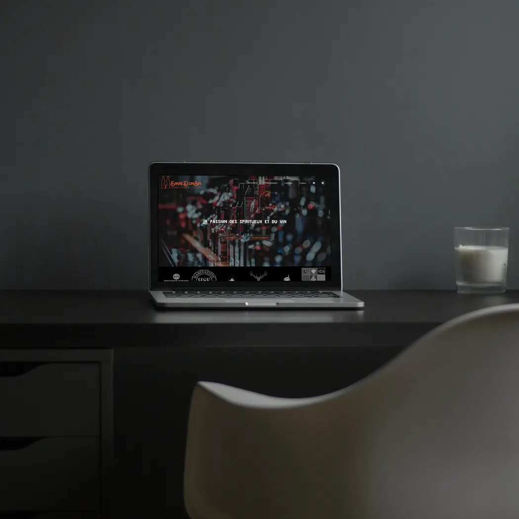 Mockup du site envie d un spi